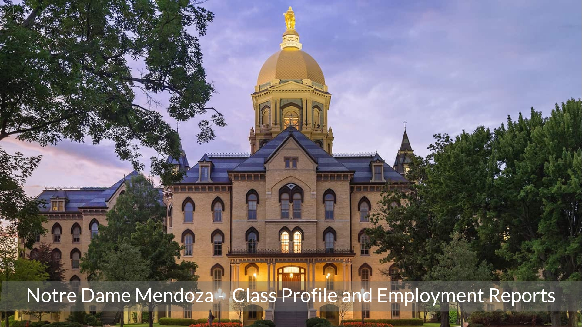 Notre Dame Mendoza College of Business MBA Program - Class Profile, Career and Employment Outcomes (1)