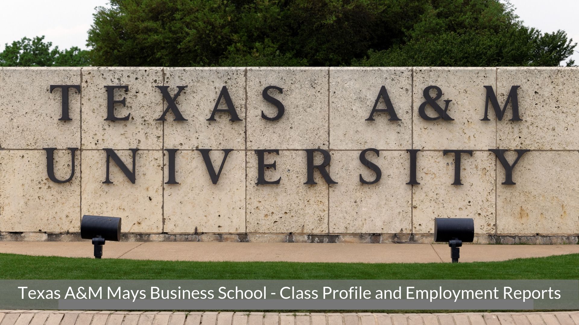 Texas A&M Mays Business School - Mays MBA Programs - Class Profile _ Notable Alumni _ Employment Reports