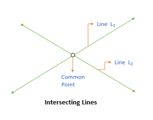 excursion lines definition