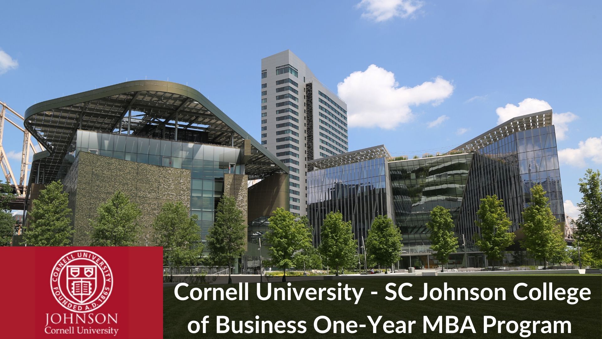 Cornell 1-Year MBA Program