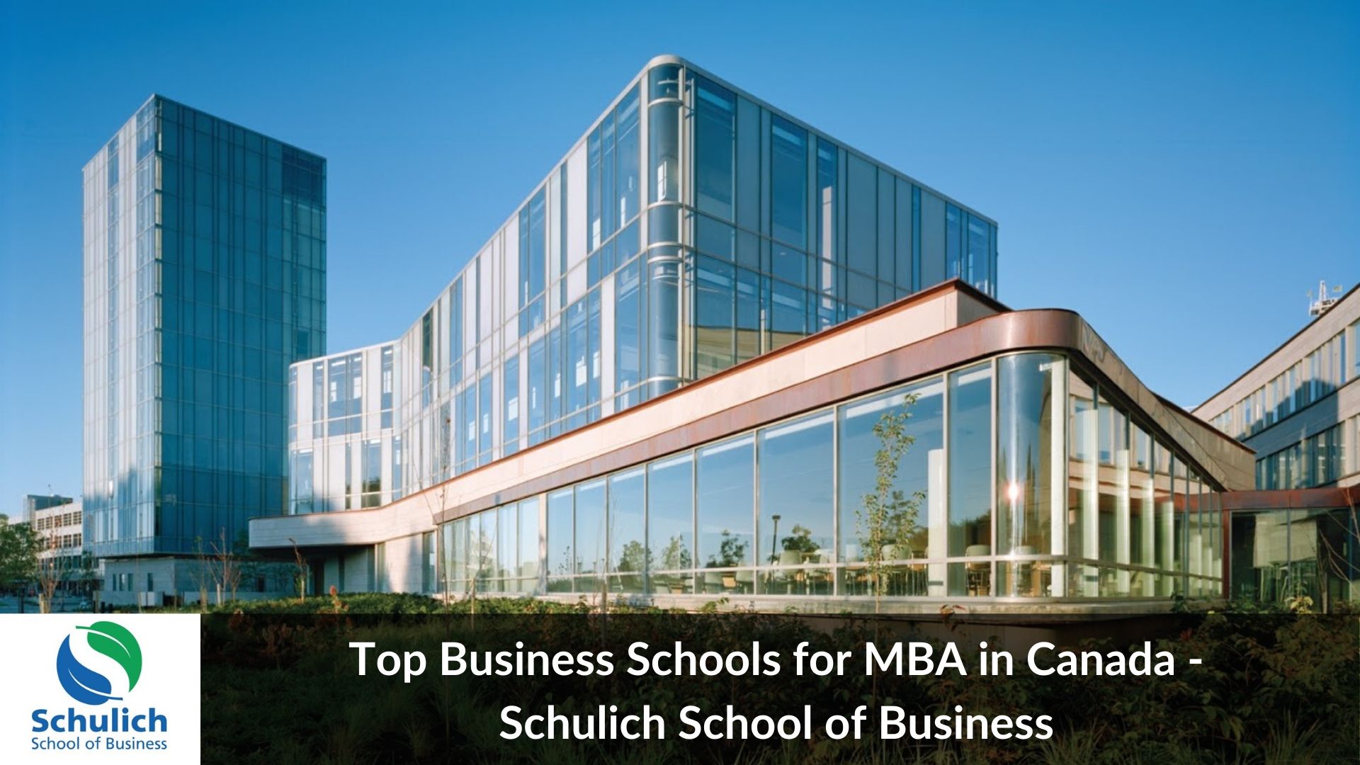 Business Schools In Canada CollegeLearners Org   Schulich School Of Business Top MBA In Canada 