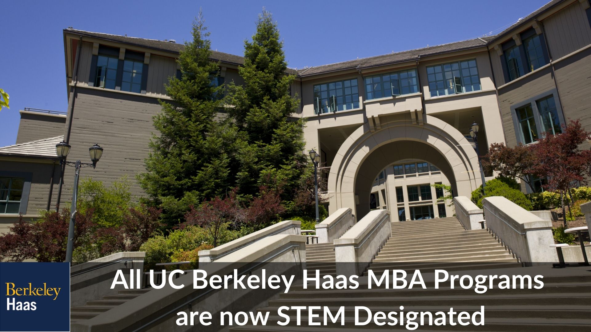 UC Berkeley Haas STEM MBA Programs