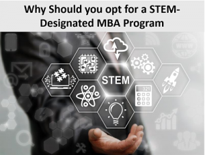 stem mba programs