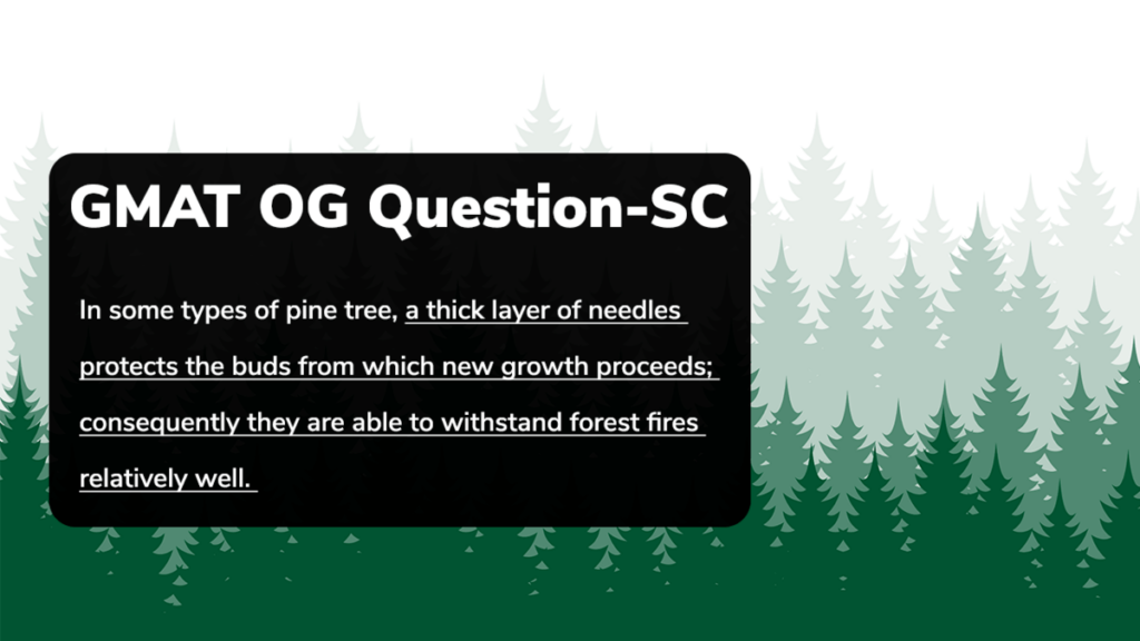 GMAT OG solution - In some types of pine tree, a thick layer of needles... 