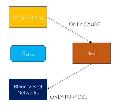 GMAT OG Solution - Networks of blood vessels in bats' wings serve...